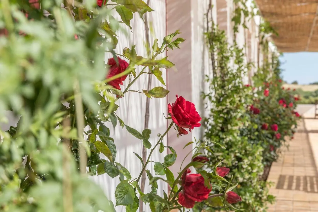 بيت للعطل Quinta Da Varzea Do Farelo Mexilhoeira Grande